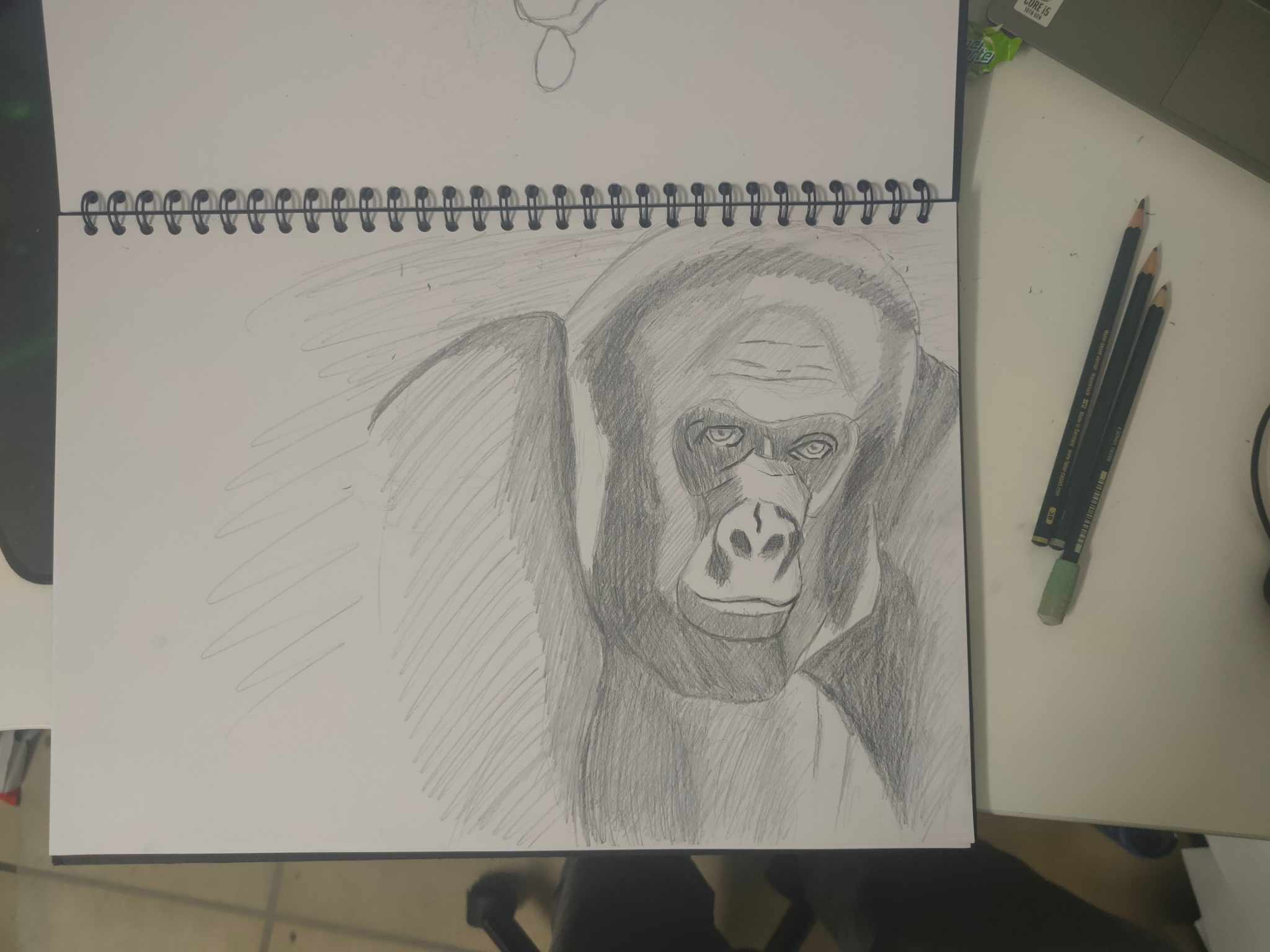 gorillafrontal.jpg